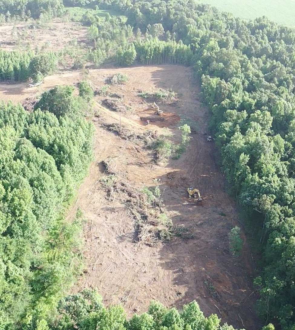 stump removal in Philadelphia MS